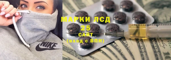 индика Аркадак