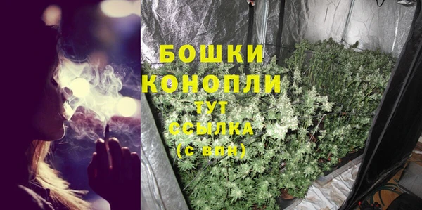 индика Аркадак