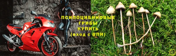 прущие крисы Армянск