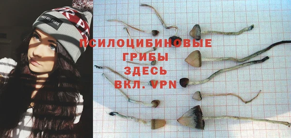 скорость Арсеньев