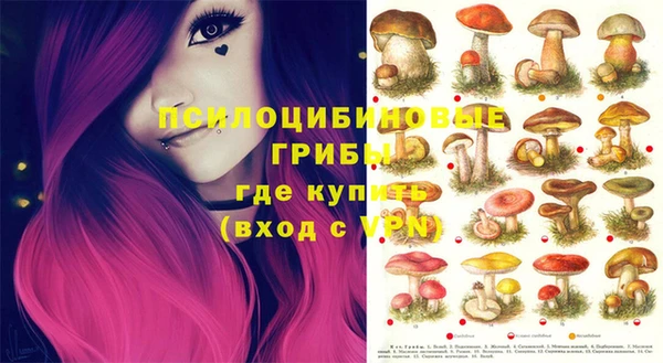 мяу мяу мука Алексин