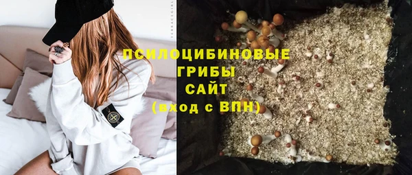 индика Аркадак