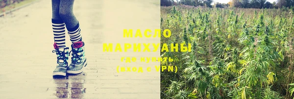 индика Аркадак
