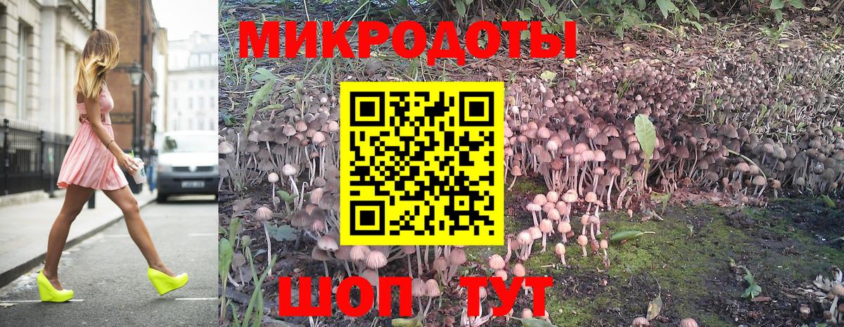 Псилоцибиновые грибы мухоморы Аша