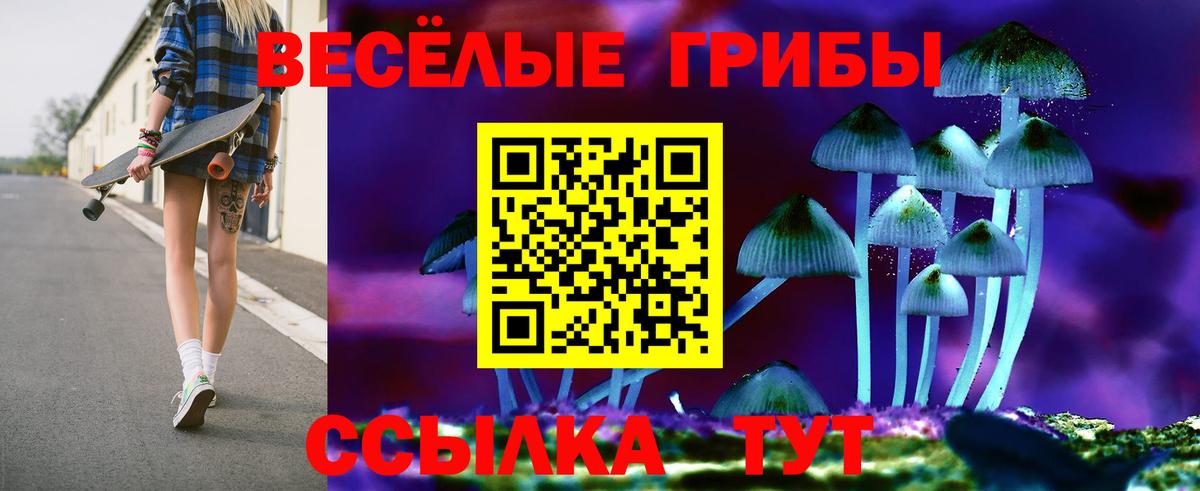 Аша  Галлюциногенные грибы мухоморы  Псилоцибиновые грибы Psilocybine cubensis  Вход с VPN 